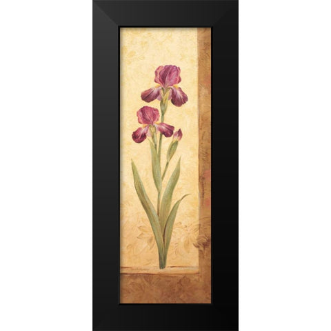 Grandiflora II Black Modern Wood Framed Art Print by Gladding, Pamela