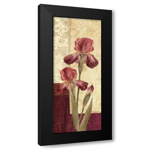 Quattro Sonata III Black Modern Wood Framed Art Print with Double Matting by Gladding, Pamela