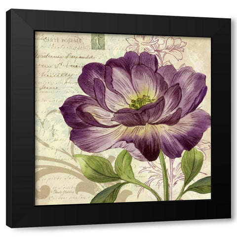 Study in Purple II Black Modern Wood Framed Art Print with Double Matting by Gladding, Pamela