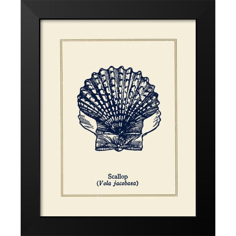 Scallop Shell Black Modern Wood Framed Art Print by Gorham, Gregory