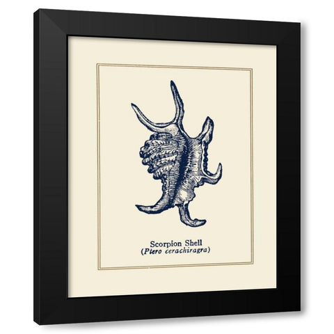 Scorpion Shell Black Modern Wood Framed Art Print by Gorham, Gregory