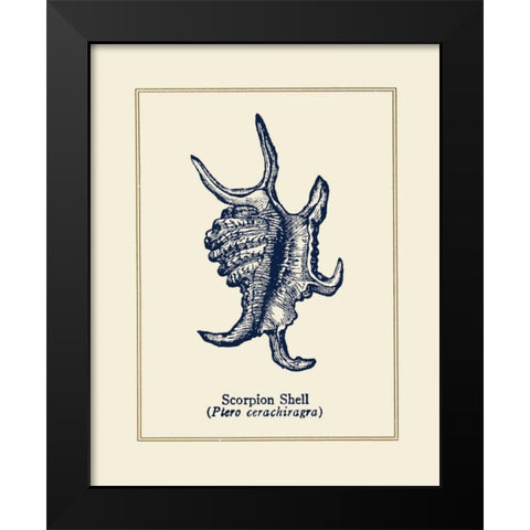 Scorpion Shell Black Modern Wood Framed Art Print by Gorham, Gregory