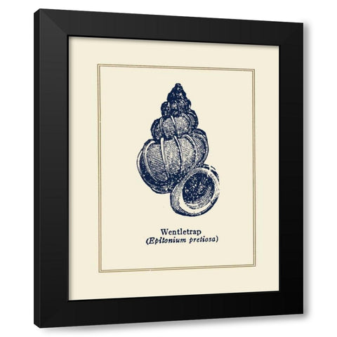 Wentletrap Shell Black Modern Wood Framed Art Print with Double Matting by Gorham, Gregory
