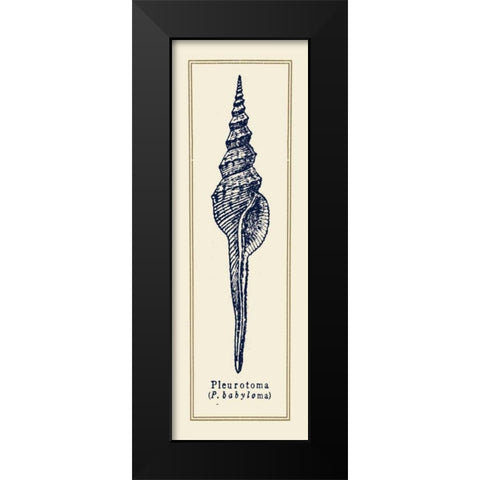 Pleurotoma Shell II Black Modern Wood Framed Art Print by Gorham, Gregory