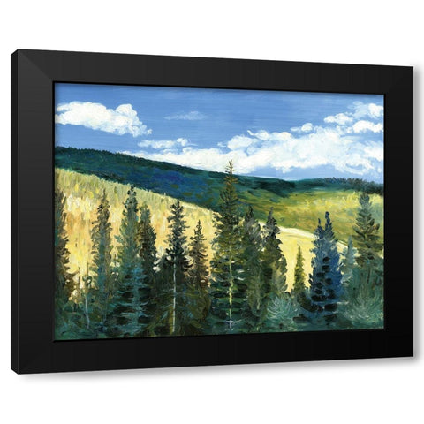 View From Slyvanite, MT Black Modern Wood Framed Art Print by Gorham, Gregory