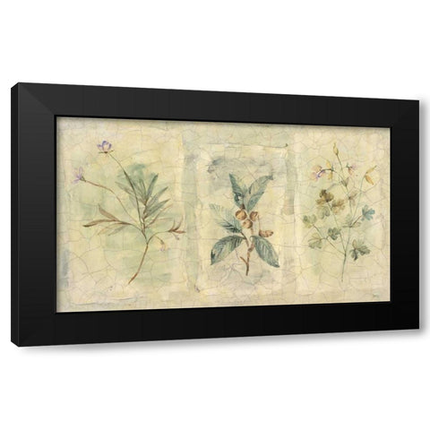 Crackle Sprigs I Black Modern Wood Framed Art Print with Double Matting by Hargittai, Paul