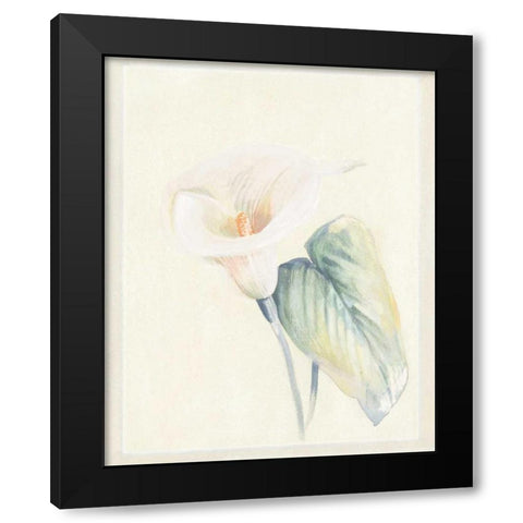 Calla Lily II Black Modern Wood Framed Art Print with Double Matting by Hargittai, Paul
