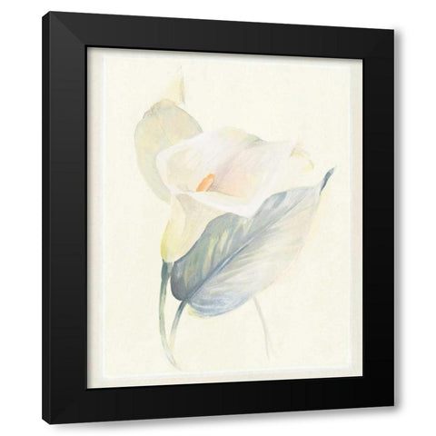Calla Lily III Black Modern Wood Framed Art Print with Double Matting by Hargittai, Paul