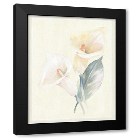Calla Lily IV Black Modern Wood Framed Art Print with Double Matting by Hargittai, Paul