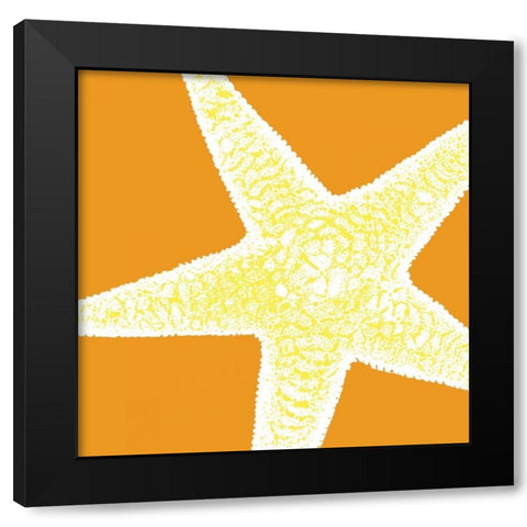 Graphic Shell I Black Modern Wood Framed Art Print with Double Matting by Harbick, N