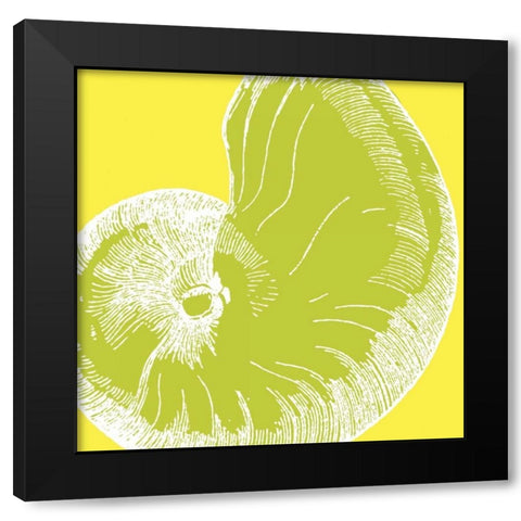 Graphic Shell II Black Modern Wood Framed Art Print with Double Matting by Harbick, N
