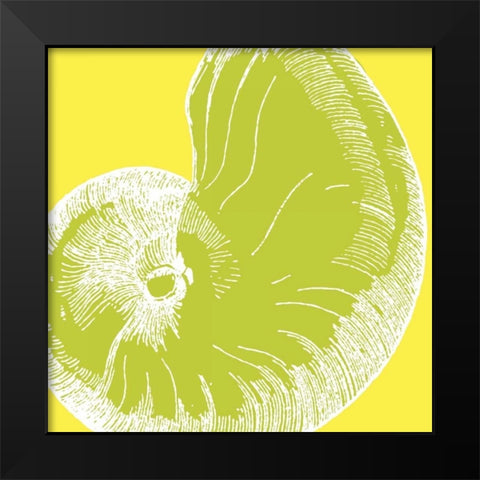 Graphic Shell II Black Modern Wood Framed Art Print by Harbick, N