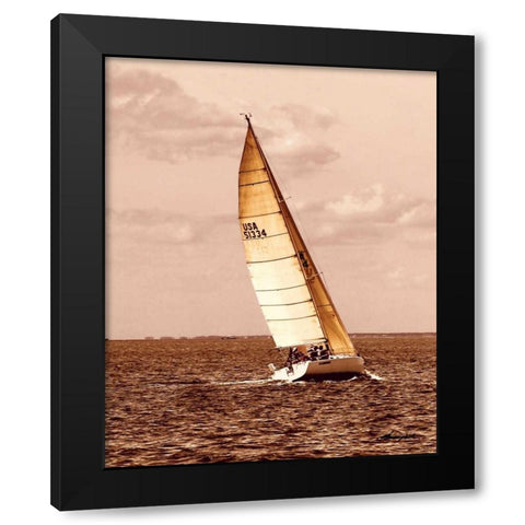 Weekend Sail II Black Modern Wood Framed Art Print with Double Matting by Hausenflock, Alan