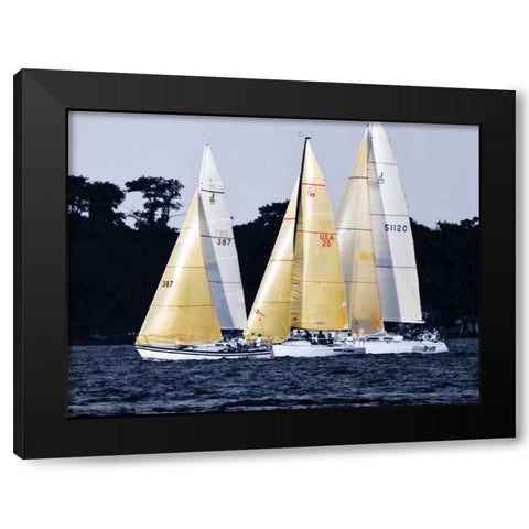 Race at Annapolis I Black Modern Wood Framed Art Print with Double Matting by Hausenflock, Alan