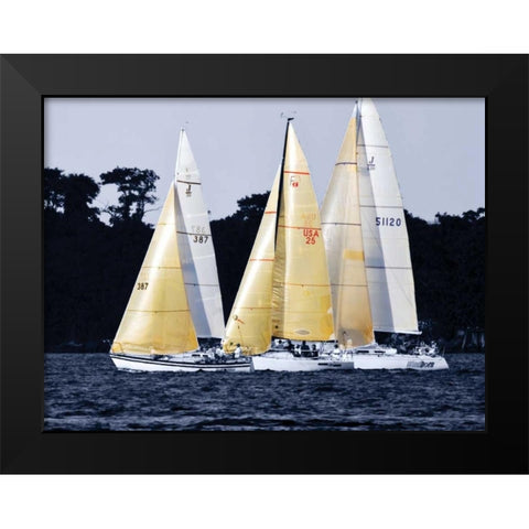 Race at Annapolis I Black Modern Wood Framed Art Print by Hausenflock, Alan