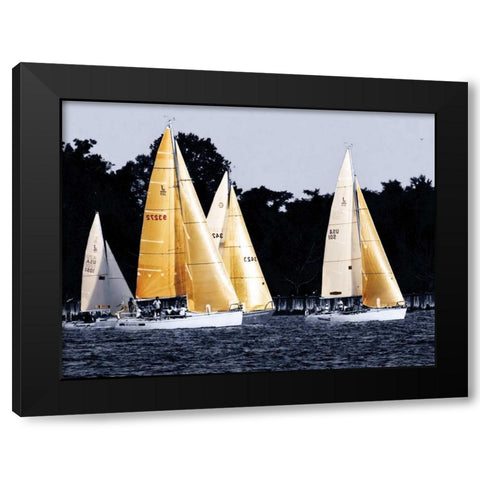 Race at Annapolis II Black Modern Wood Framed Art Print with Double Matting by Hausenflock, Alan