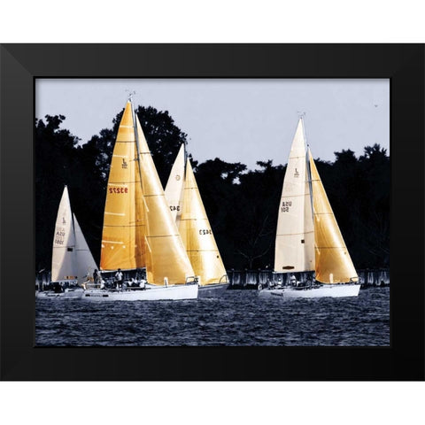 Race at Annapolis II Black Modern Wood Framed Art Print by Hausenflock, Alan
