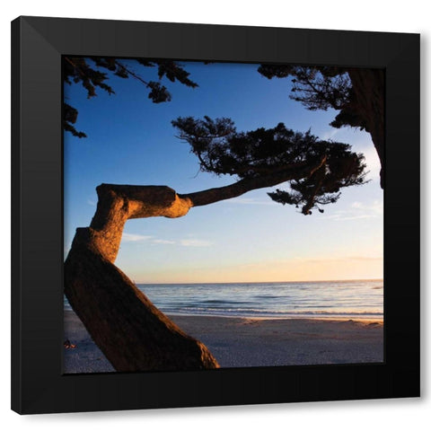 Carmel Sunset I Black Modern Wood Framed Art Print by Hausenflock, Alan