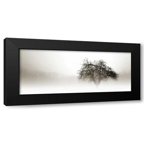 In the Mist I Black Modern Wood Framed Art Print with Double Matting by Hausenflock, Alan