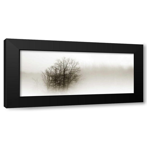 In the Mist II Black Modern Wood Framed Art Print with Double Matting by Hausenflock, Alan