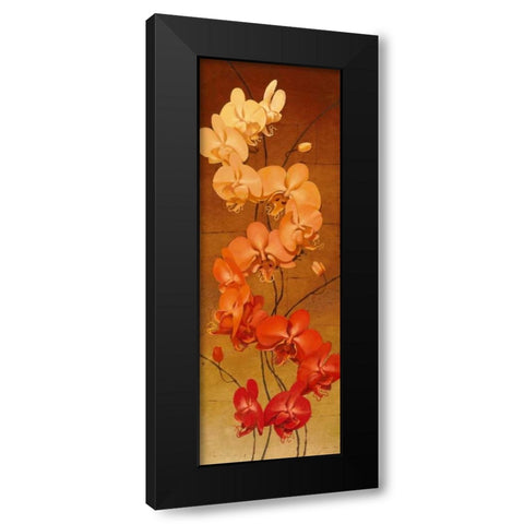 Golden Orchids II Black Modern Wood Framed Art Print with Double Matting by Catlett, Kenneth