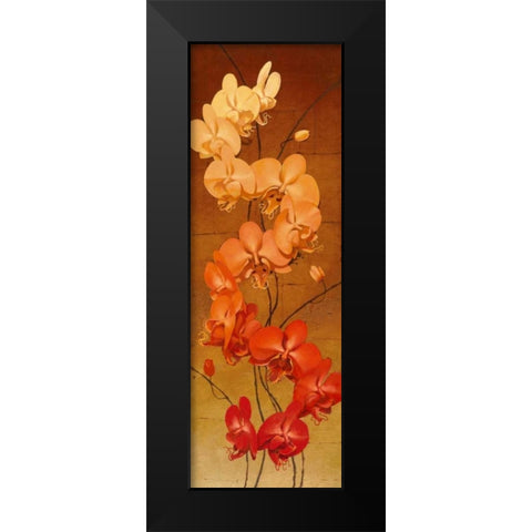 Golden Orchids II Black Modern Wood Framed Art Print by Catlett, Kenneth