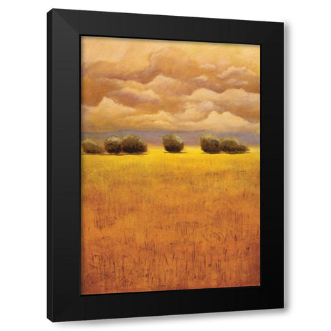 Golden Fields II Black Modern Wood Framed Art Print with Double Matting by Girard, Thomas