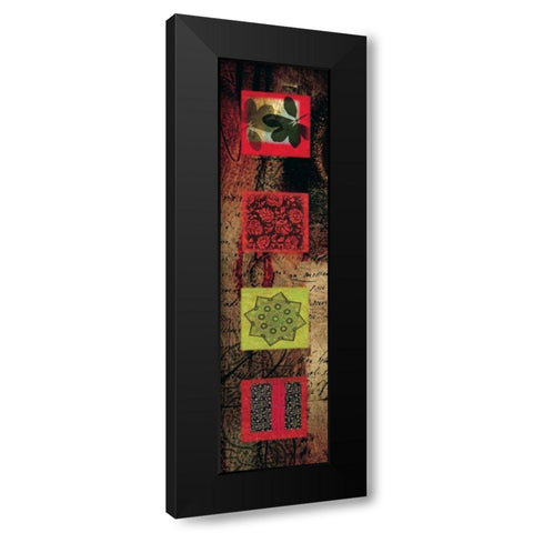 Citrus Jewel II Black Modern Wood Framed Art Print with Double Matting by Hillard, Stephen