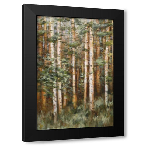 Aspen Beauty II Black Modern Wood Framed Art Print with Double Matting by Lee, Scott
