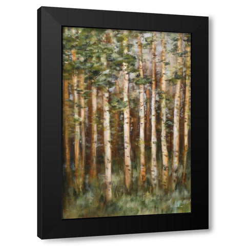 Aspen Beauty III Black Modern Wood Framed Art Print with Double Matting by Lee, Scott