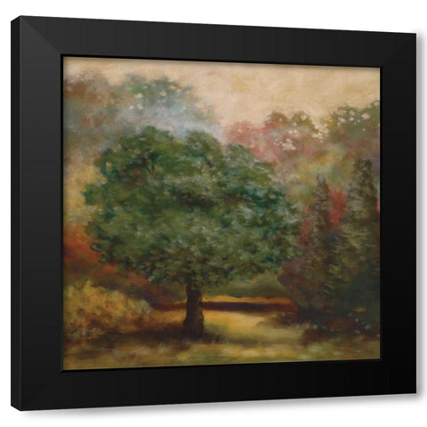 Tree Cast II Black Modern Wood Framed Art Print with Double Matting by Lee, Scott
