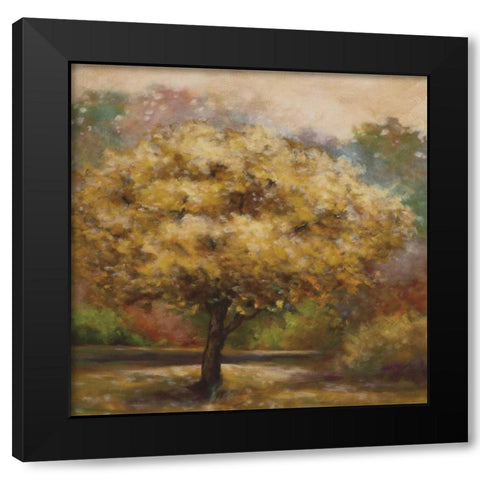 Tree Cast IV Black Modern Wood Framed Art Print with Double Matting by Lee, Scott
