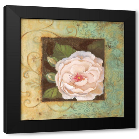 Antique Rose IV Black Modern Wood Framed Art Print with Double Matting by Jeffrey, Jillian