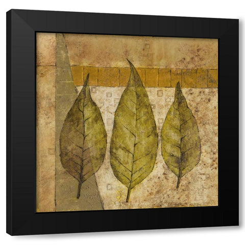 Nature Study II Black Modern Wood Framed Art Print with Double Matting by Kime, John