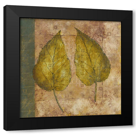 Nature Study III Black Modern Wood Framed Art Print with Double Matting by Kime, John