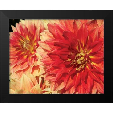 Hot Sun Black Modern Wood Framed Art Print by Love, Maureen
