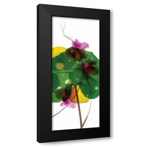 Leopard Leaf Black Modern Wood Framed Art Print with Double Matting by McLemore, Julia