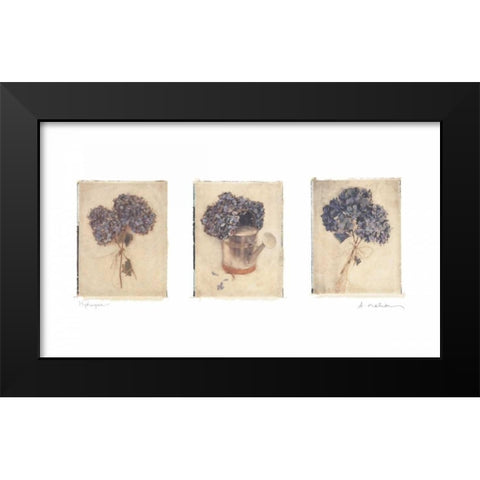Hydrangeas Black Modern Wood Framed Art Print by Melious, Amy