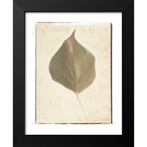 Single Leaf Black Modern Wood Framed Art Print by Melious, Amy