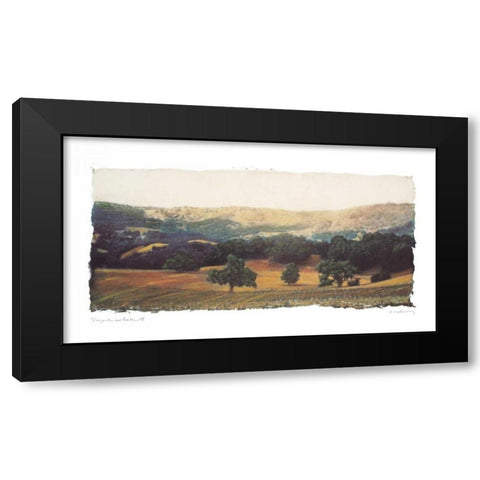 Vineyard and Oak II Black Modern Wood Framed Art Print with Double Matting by Melious, Amy