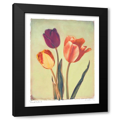 Concerto Verde I Black Modern Wood Framed Art Print by Melious, Amy