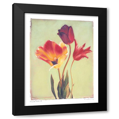 Concerto Verde II Black Modern Wood Framed Art Print with Double Matting by Melious, Amy