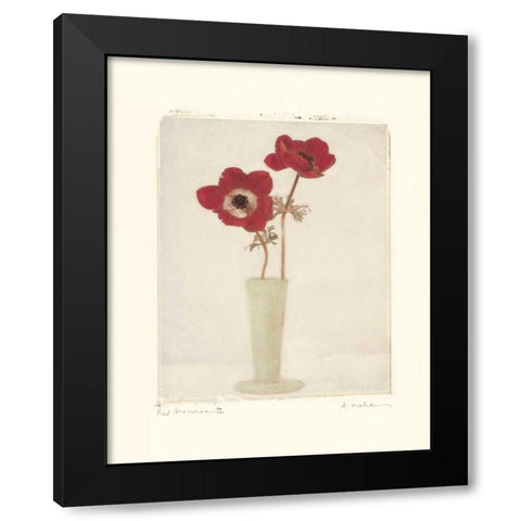 Red Anemones II Black Modern Wood Framed Art Print with Double Matting by Melious, Amy