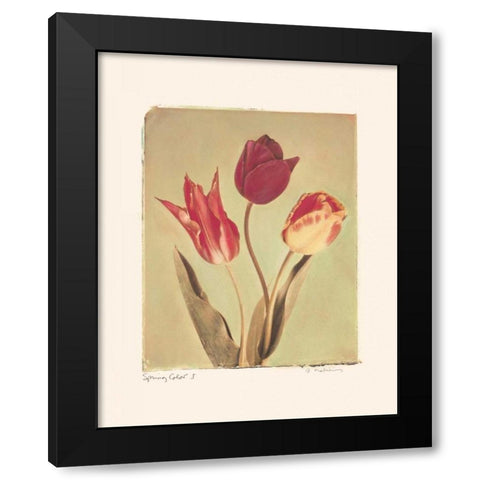 Spring Color I Black Modern Wood Framed Art Print with Double Matting by Melious, Amy