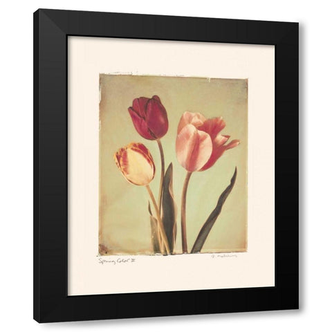 Spring Color II Black Modern Wood Framed Art Print with Double Matting by Melious, Amy