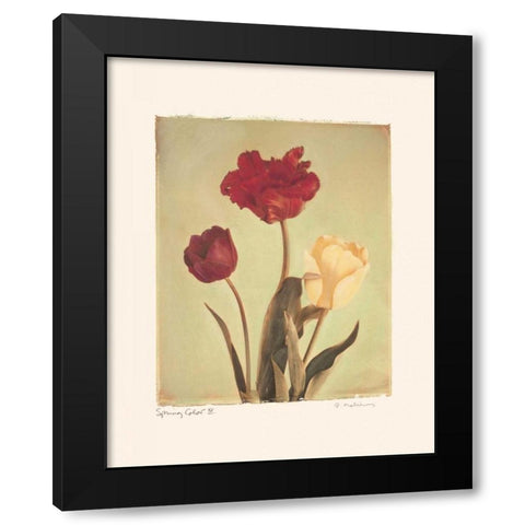 Spring Color IV Black Modern Wood Framed Art Print with Double Matting by Melious, Amy