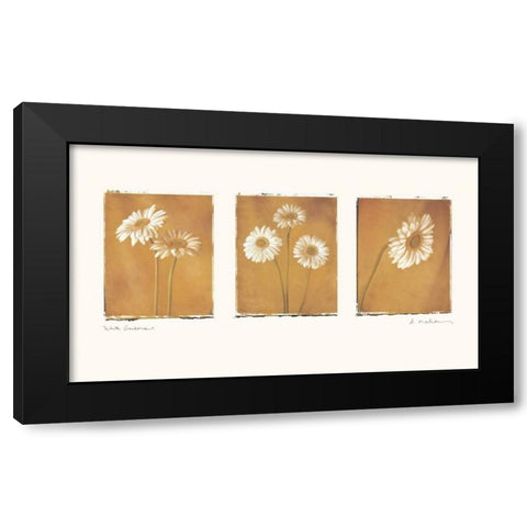 White Gerbers Black Modern Wood Framed Art Print with Double Matting by Melious, Amy