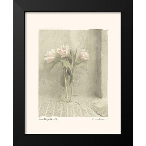 Countryside IV Black Modern Wood Framed Art Print by Melious, Amy