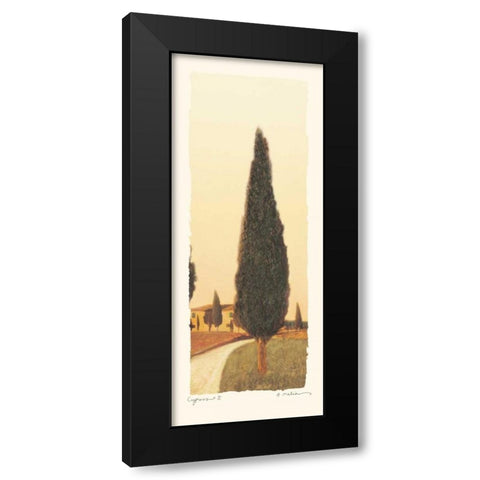 Cypress II Black Modern Wood Framed Art Print with Double Matting by Melious, Amy