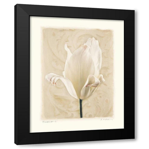 Chiaroscuro I Black Modern Wood Framed Art Print by Melious, Amy